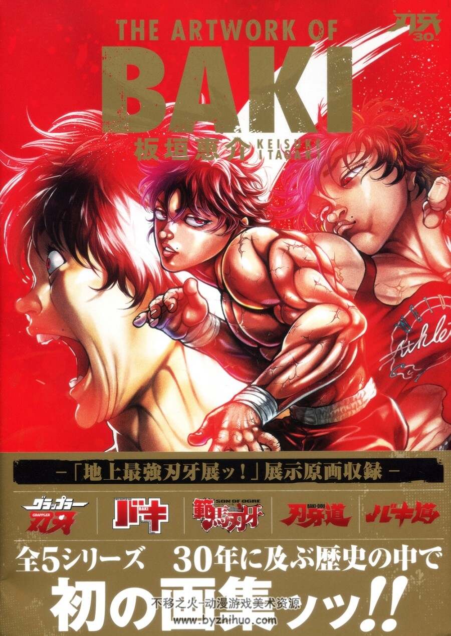 刃牙画集 THE ARTWORK OF BAKI.板垣惠介.201P.833M.jpg格式.百度网盘./阿里云盘下载