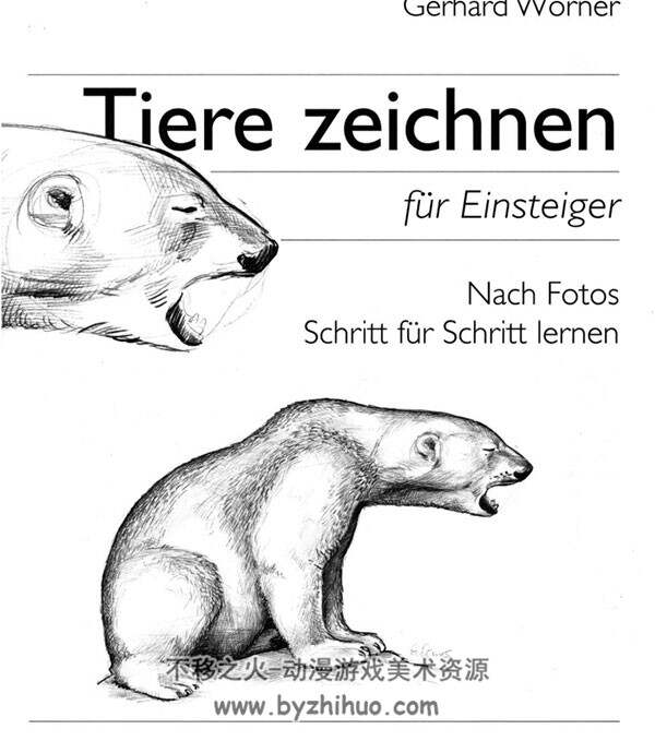 动物素描绘画 Tiere zeichnen fuer Einsteiger PDF版 百度网盘下载