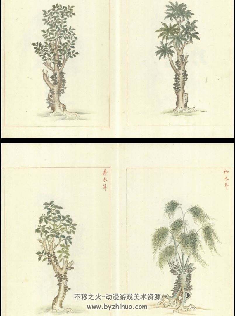 金石昆虫草木状 全二十七卷 手绘原稿 明文俶绘PDF格式 百度网盘下载
