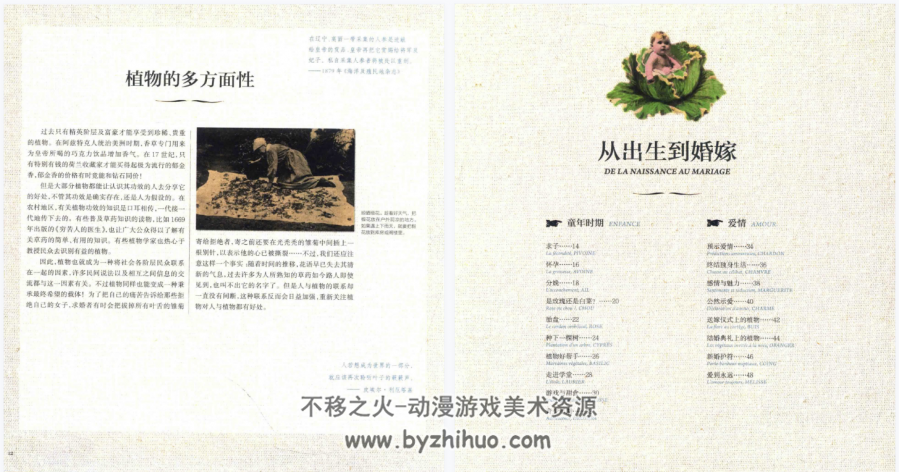 花草物语 植物的情感故事书 PDF格式 百度网盘下载