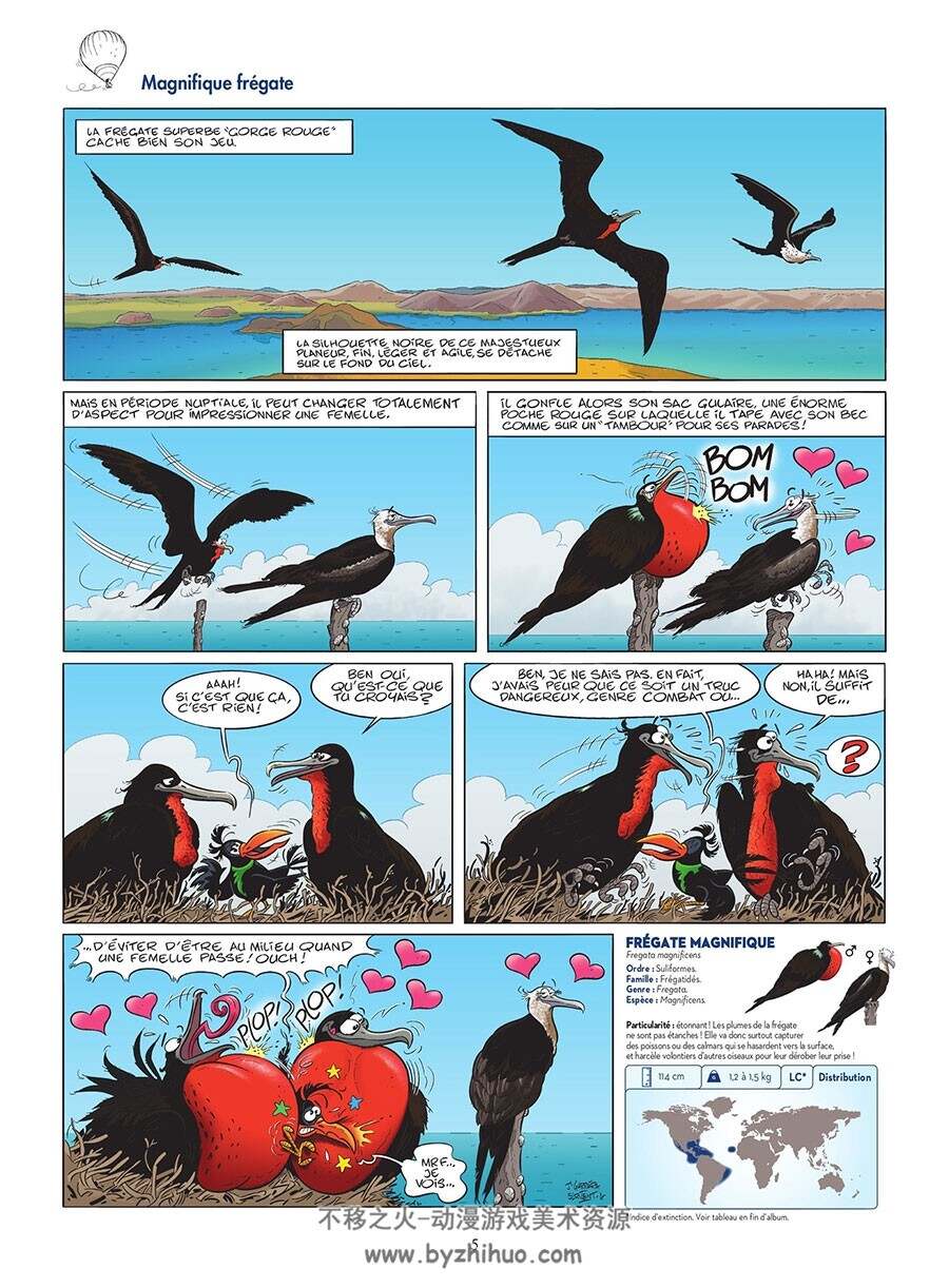 Les Oiseaux En Bande Dessinée 第2册 漫画 百度网盘下载