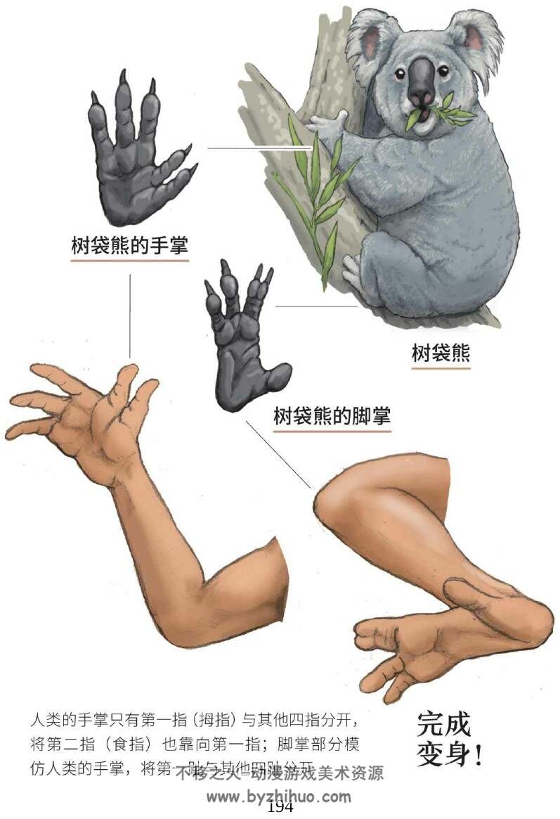 跟动物交换身体(四种格式)[日] 川崎悟司.pdf.azw3.epub.mobi.百度网盘/阿里云盘