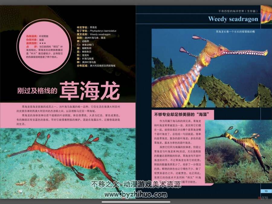 海洋百科 生存系列 PDF格式 百度网盘下载 136P