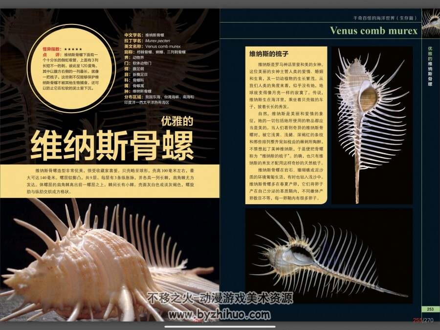 海洋百科 生存系列 PDF格式 百度网盘下载 136P