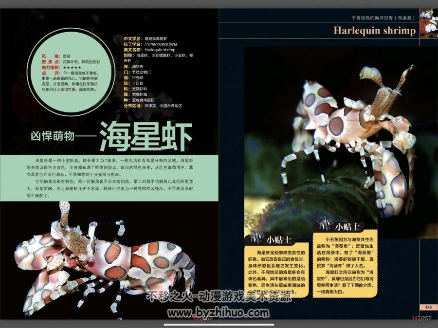 海洋世界 奇迹篇 百科资源参考 百度网盘下载 126P