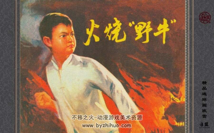 火烧“野牛”1974.2 pdf 百度网盘下载 25.6MB