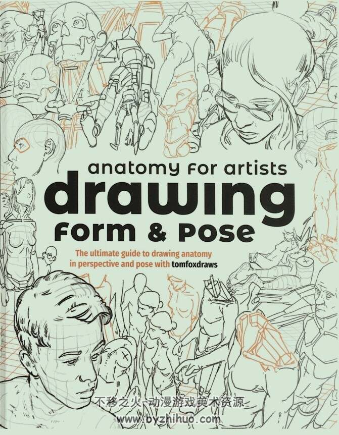 Anatomy for Artists: Drawing Form & Pose 艺术家解剖学 绘画形式与姿势 百度云下载