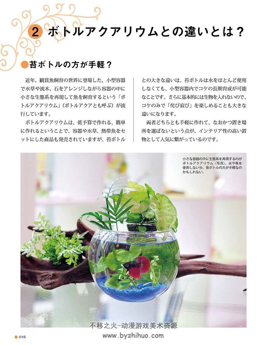 「苔ボトル」育てる 楽しむ 癒しのコケ図鑑 苔藓植物参考