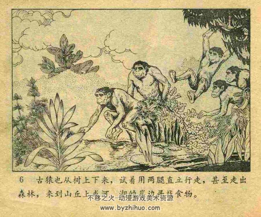 劳动创造了 人进化论科普连环画 PDF格式 百度网盘下载 39.3MB