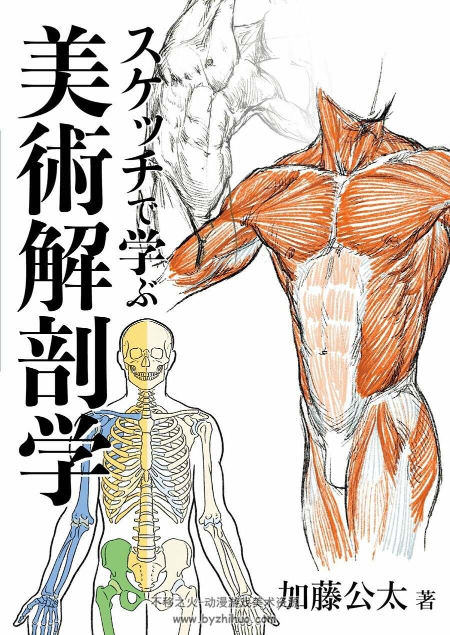 スケッチで学ぶ美術解剖学 加藤公太 百度网盘下载