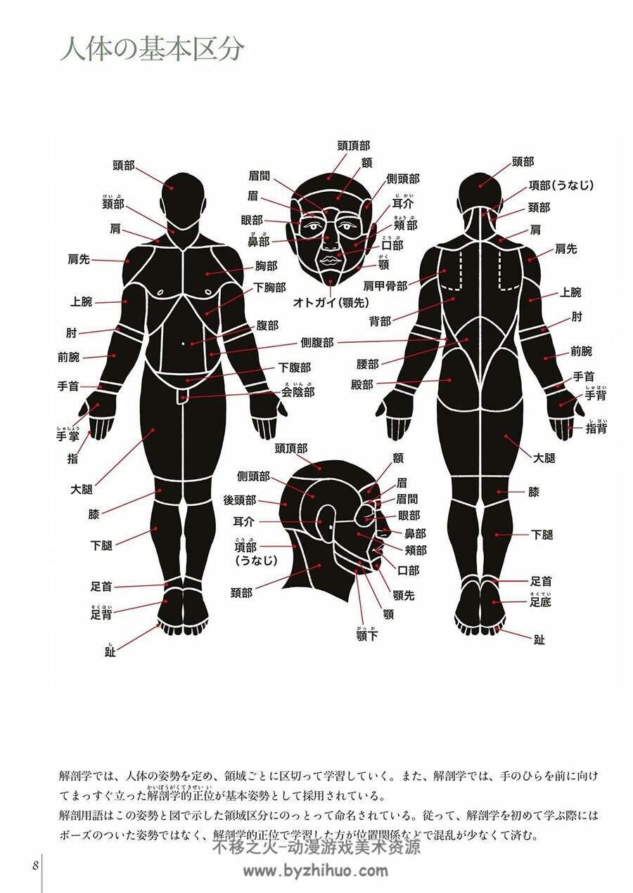 スケッチで学ぶ美術解剖学 加藤公太 百度网盘下载