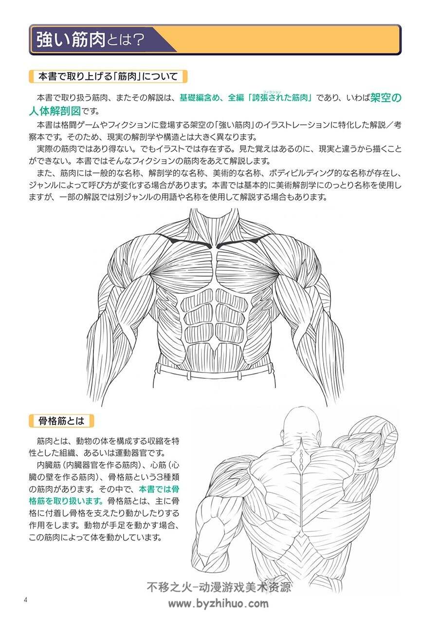 超描けるシリーズ 強い筋肉の描き方 肌肉绘画教程 百度网盘下载