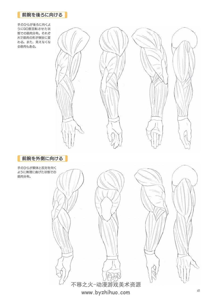 超描けるシリーズ 強い筋肉の描き方 肌肉绘画教程 百度网盘下载