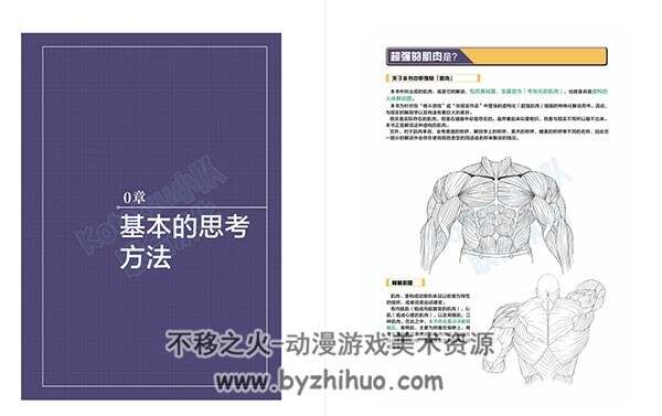 強い筋肉の描き方 超强肌肉描绘法 中文版 百度网盘下载