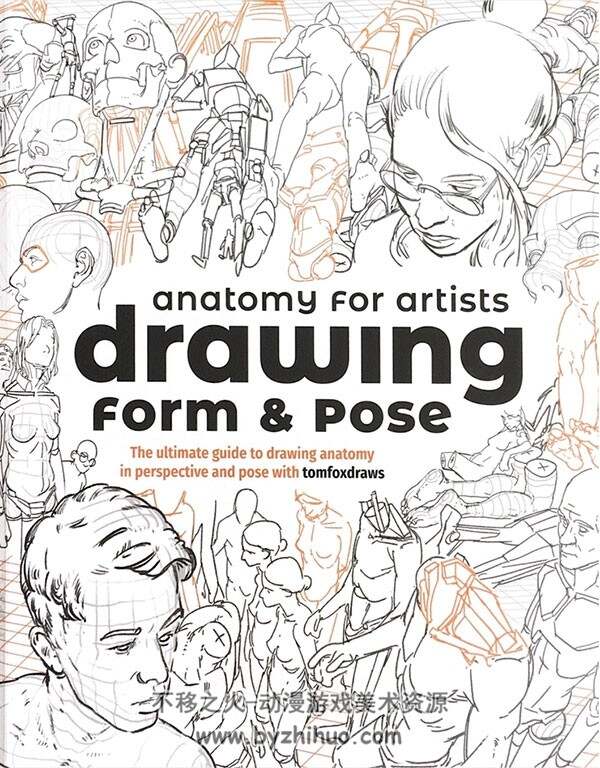 Anatomy for Artists: Drawing Form & Pose 人体绘制教程 百度网盘下载