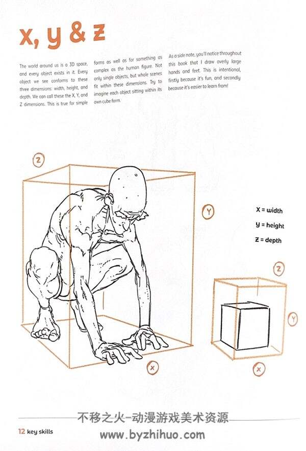 Anatomy for Artists: Drawing Form & Pose 人体绘制教程 百度网盘下载