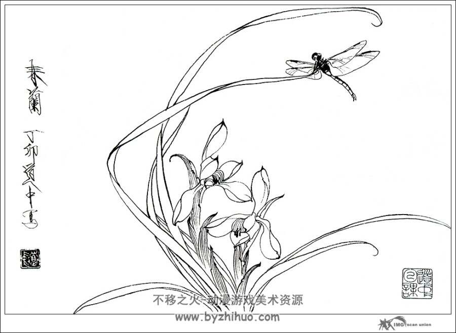 花卉白描线稿 美术绘画素材 百度网盘下载 7.5MB