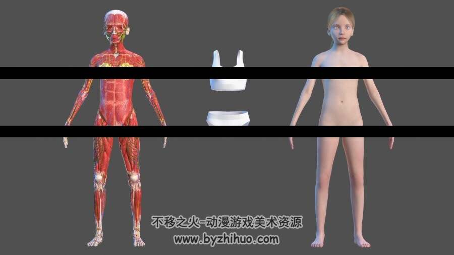 完整解剖学 complete full body kid girl anatomy 百度网盘下载 111P