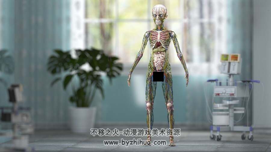 完整解剖学 男童 complete full body kid boy anatomy 百度网盘下载 57P