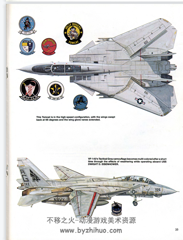 F-14Tomcat 雄猫战斗机图册 f14Tomcat pdf格式 百度网盘下载 62.5MB