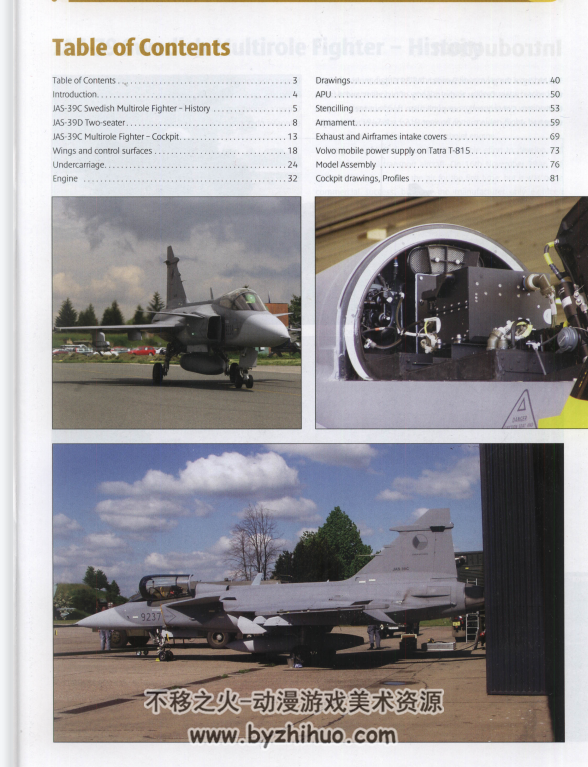 JAS-39 鹰狮战斗机 资料图册 百度网盘下载 86P 70.9MB