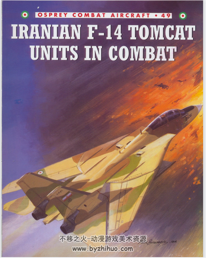 伊朗空军 F-14 资料图册 百度网盘下载 55.52MB