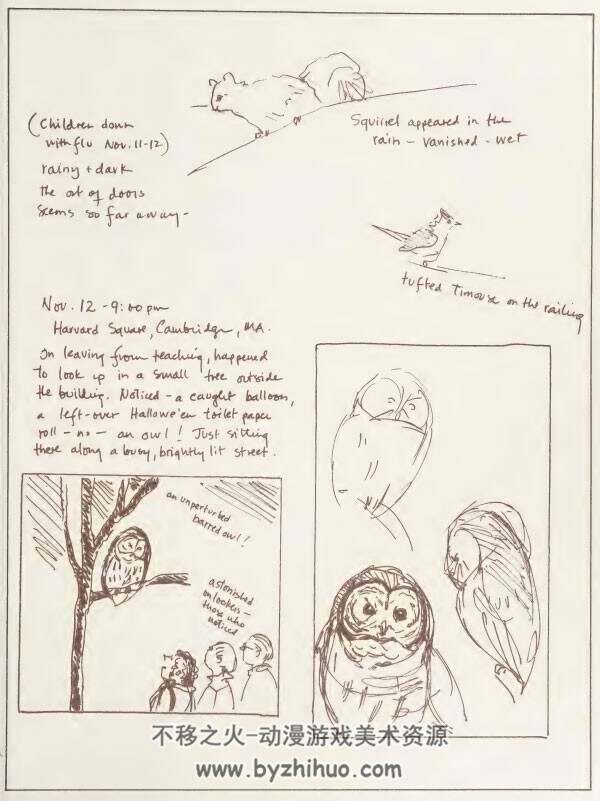 A naturalist's sketchbook 素描本之博物学家四季 百度网盘下载