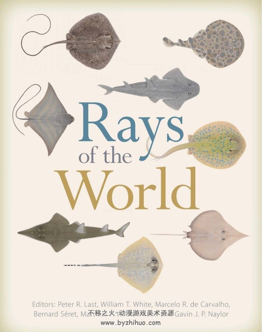 Rays of the World 世界鳐鱼[英] PDF格式 百度网盘下载