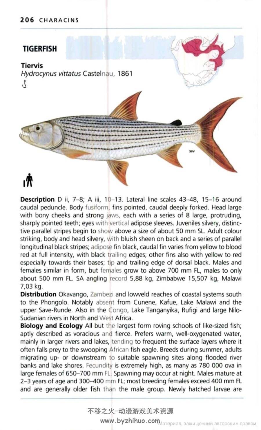 南部非洲淡水鱼类图鉴 英文本 PDF格式 百度网盘下载