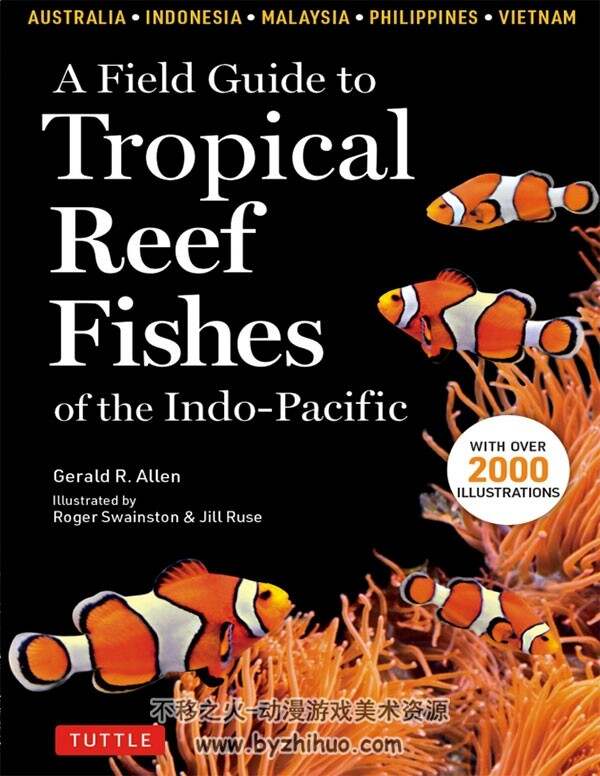 印太平洋珊瑚礁鱼类 手绘图鉴 英文版 PDF格式 百度网盘