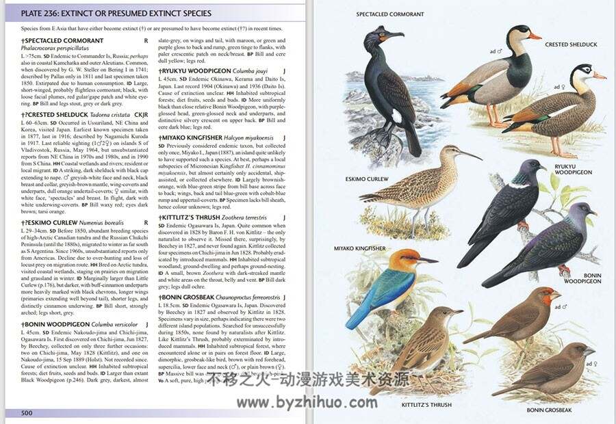 Birds of East Asia 东亚鸟类图鉴[英] PDF格式 百度网盘下载