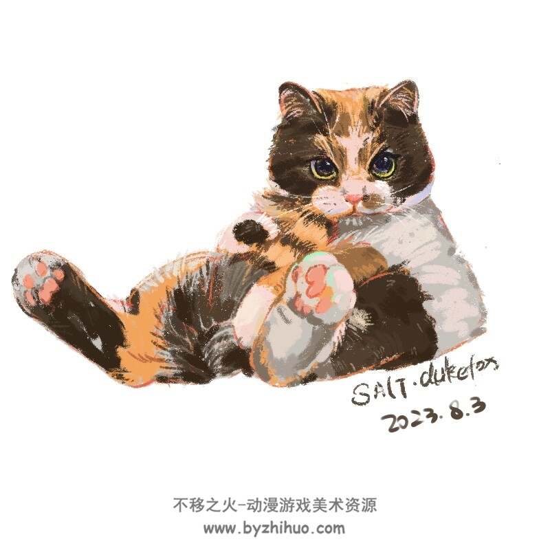萌宠~猫猫系列