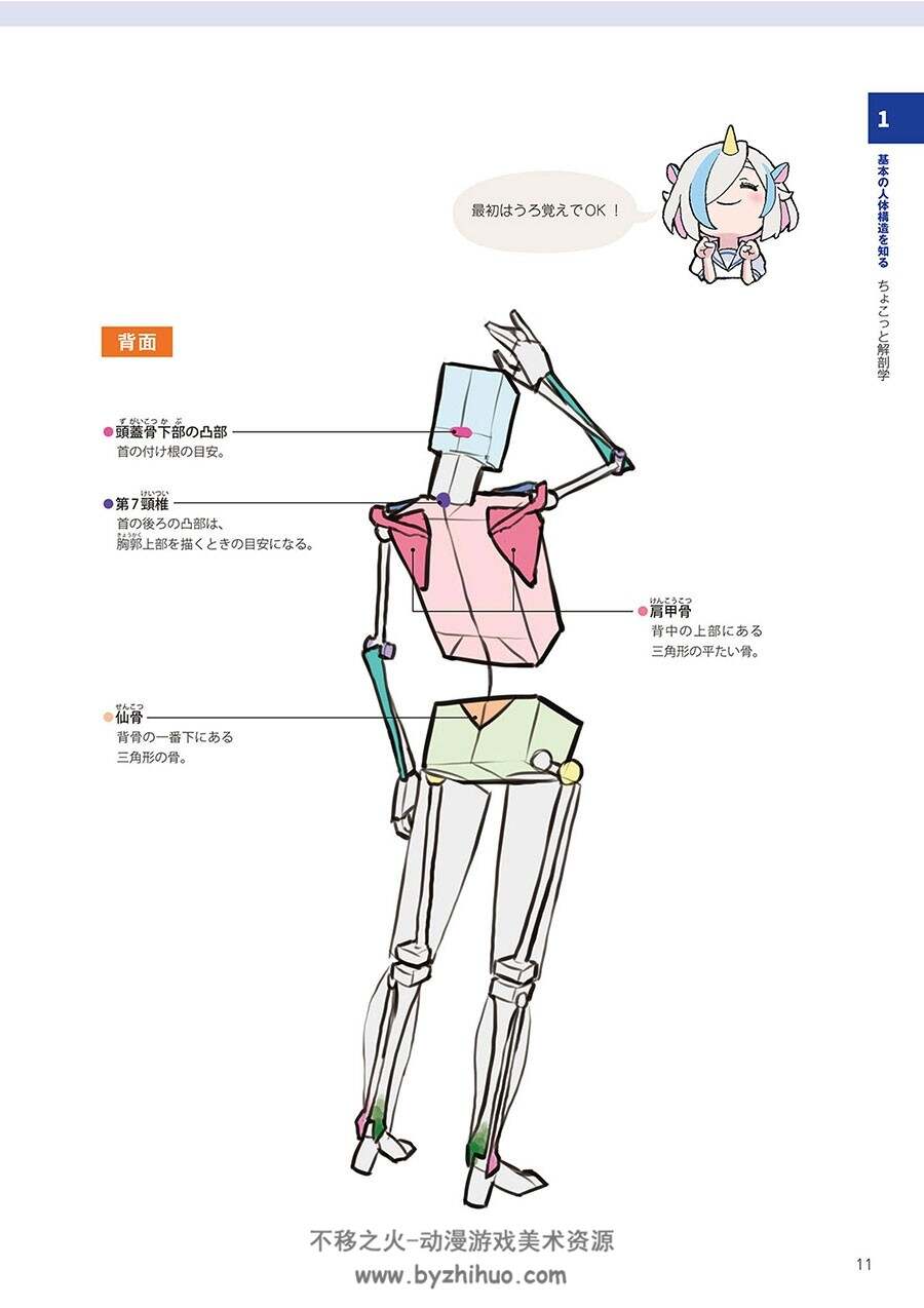 にうまく描けるキャラクターデッサン 简单的人体解剖学 百度网盘下载
