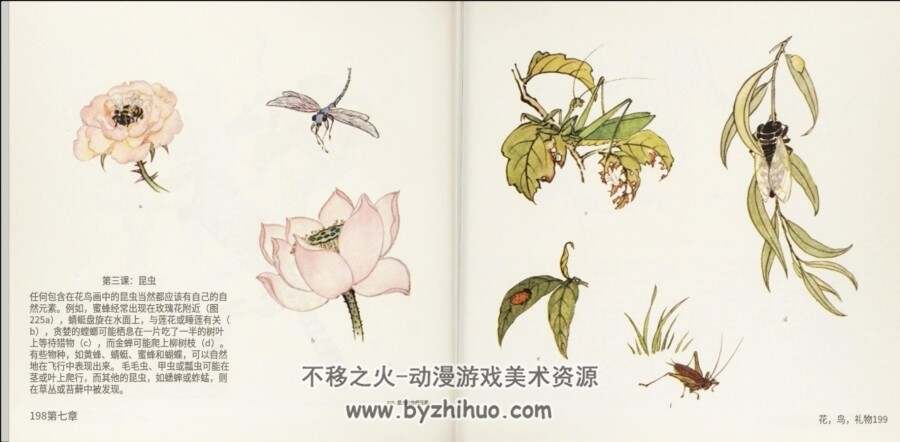中国绘画技法 Alison 中文版 百度网盘下载