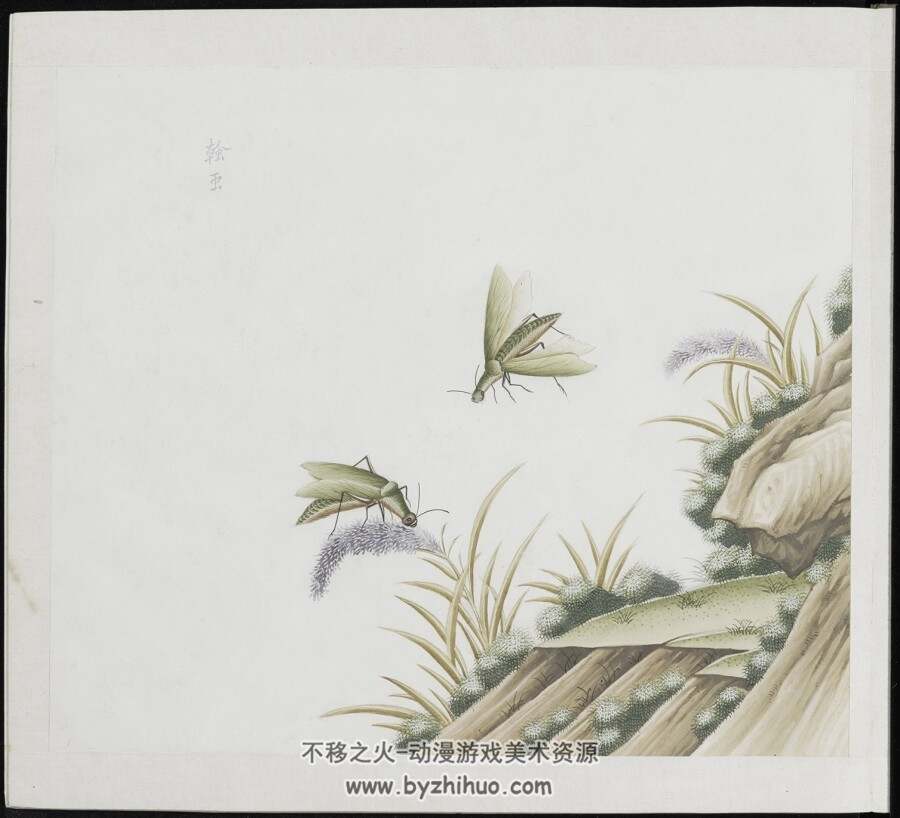 草虫图册 12册 二百八十八幅 水粉 外销画约1773-1776年 百度云下载