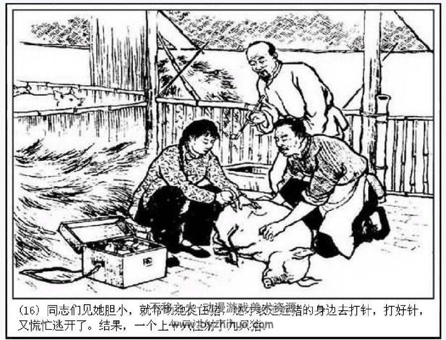 出色的饲养员 农村题材PDF格式 百度网盘下载