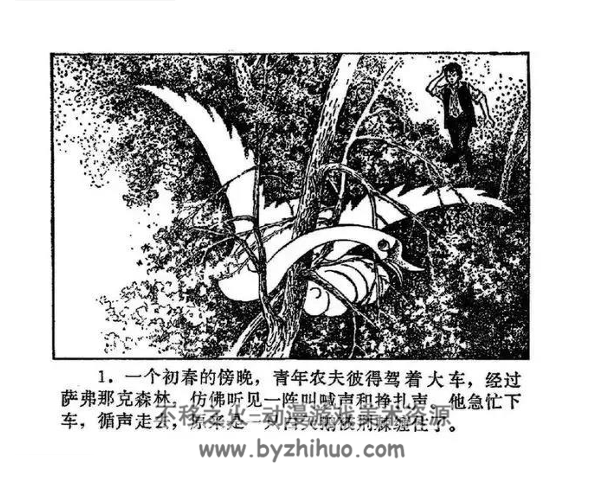 天鹅姑娘 PDF格式连环画 百度网盘下载
