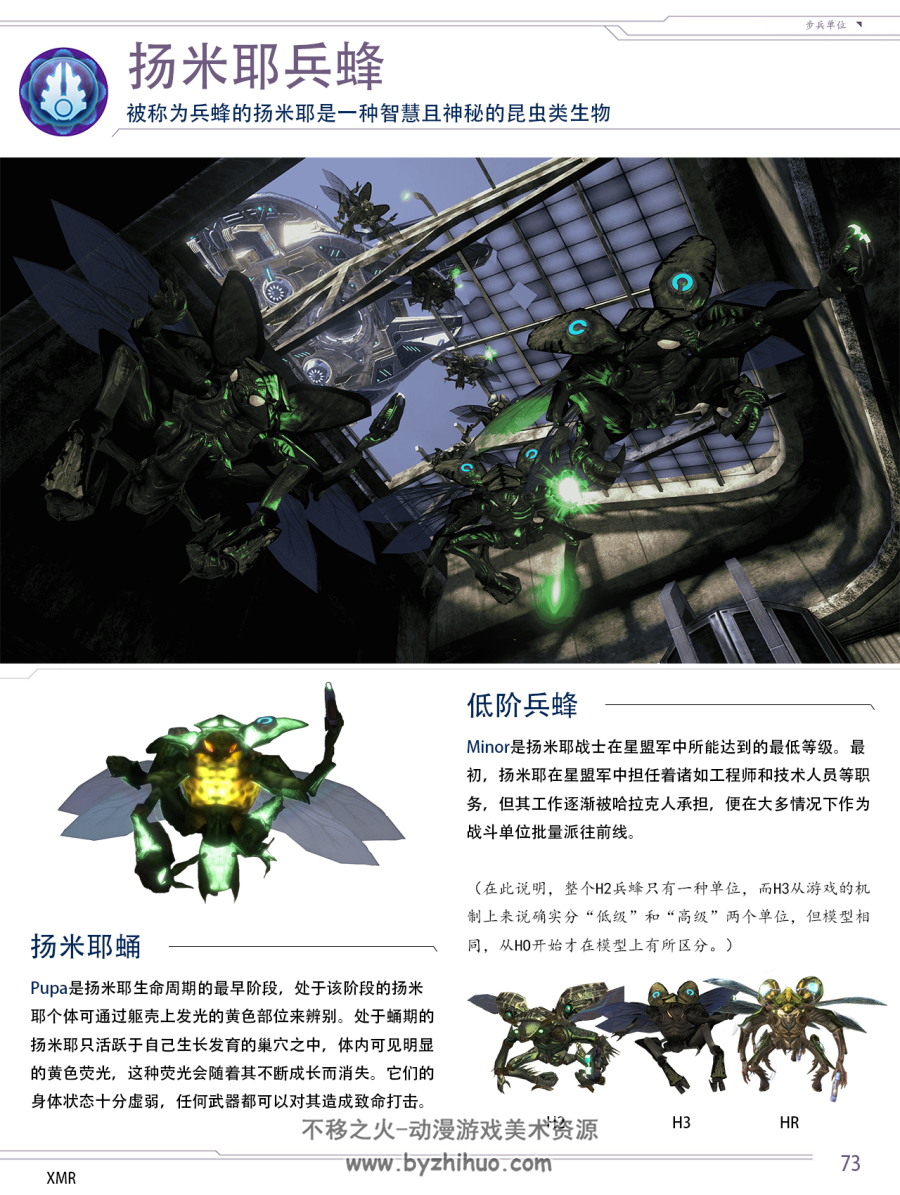 光环HALO 星盟生物手册 中文 PDF版 百度网盘下载
