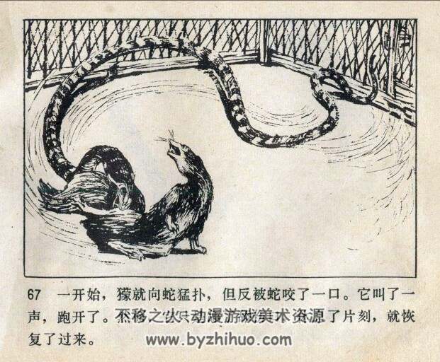 捕蛇者的后代 1982pdf格式 百度网盘连环画下载