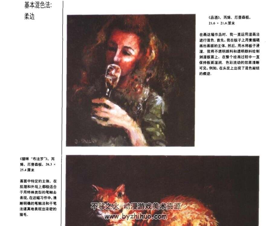 当代艺术家丙烯画材料与技法 PDF格式连环画 百度网盘下载