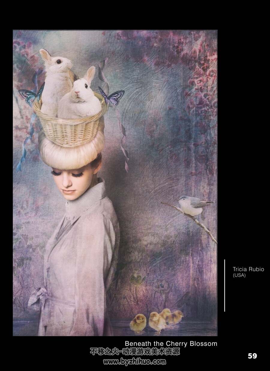 Living the Photo Artistic Life 数码画册月刊上半年 百度网盘下载