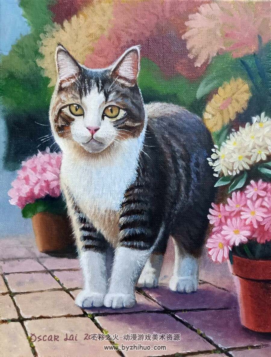 花叢小貓