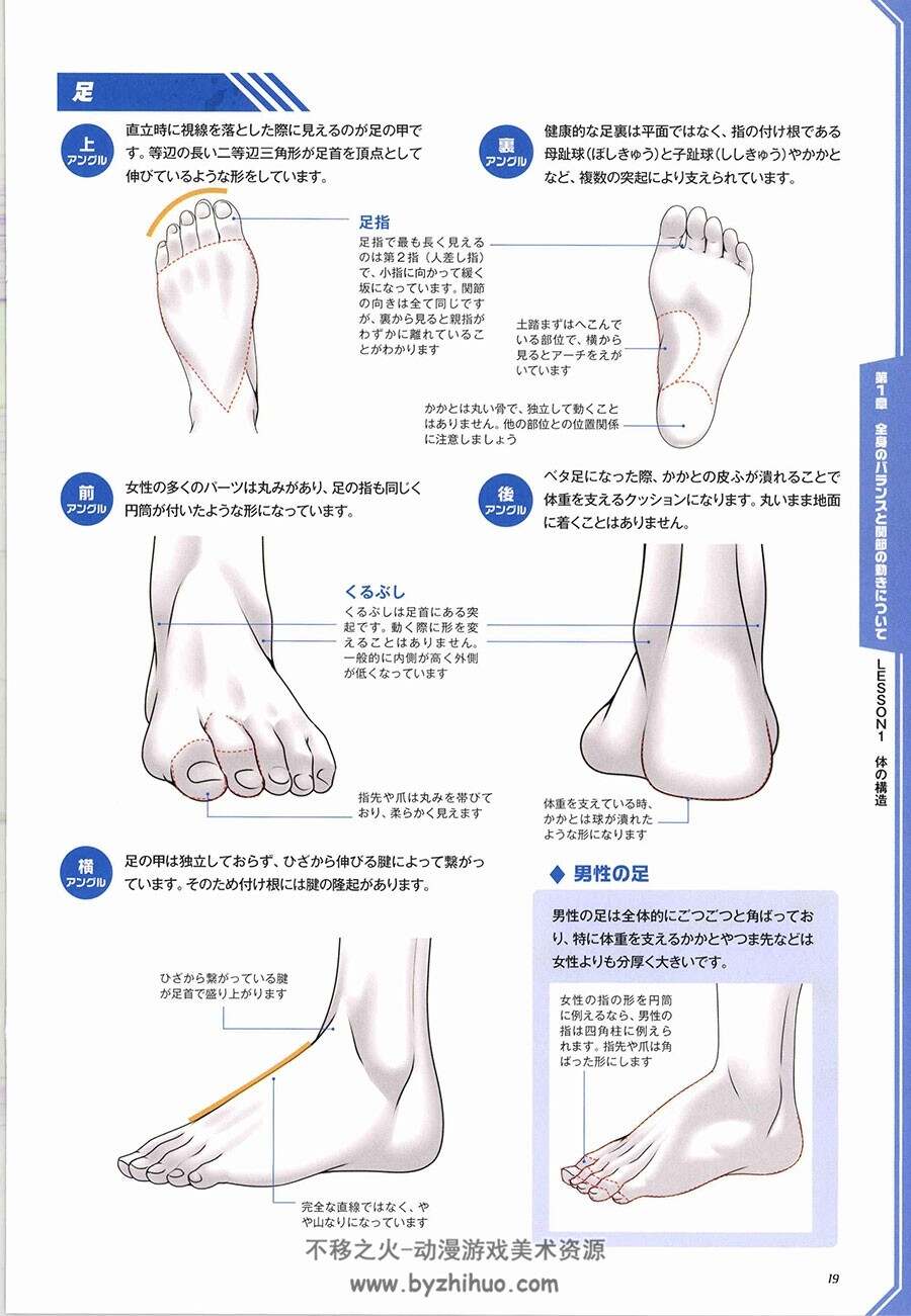 格闘&アクションポーズ作画テクニック 战斗类姿势绘画技巧 百度网盘下载