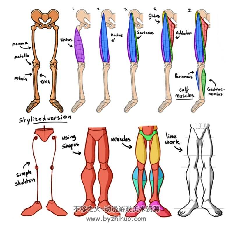 如何绘制人体腿部足部 结构动态绘画 美术素材参考 百度网盘下载