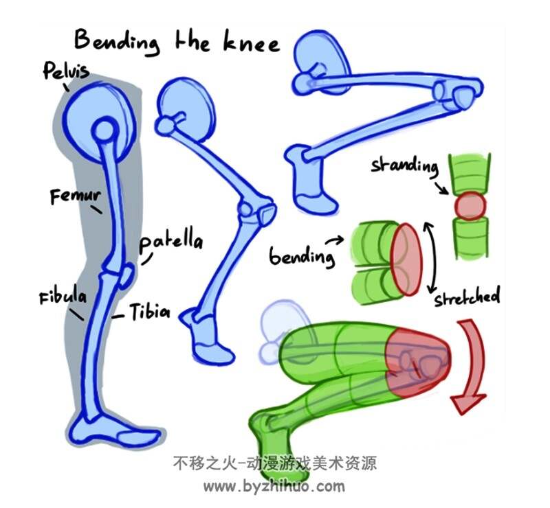 如何绘制人体腿部足部 结构动态绘画 美术素材参考 百度网盘下载
