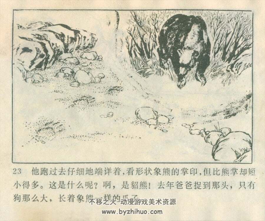 智捉貂熊 内蒙古人民 1979 PDF格式连环画 百度网盘下载