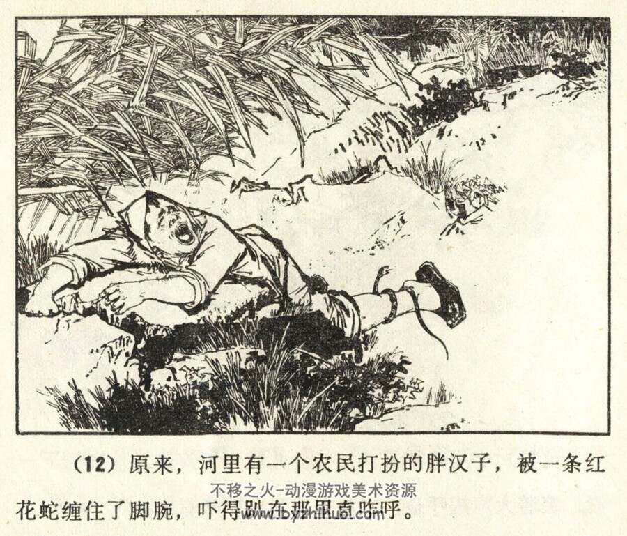 智捉黑眼皮 山东人民 1979 PDF格式连环画 百度网盘下载