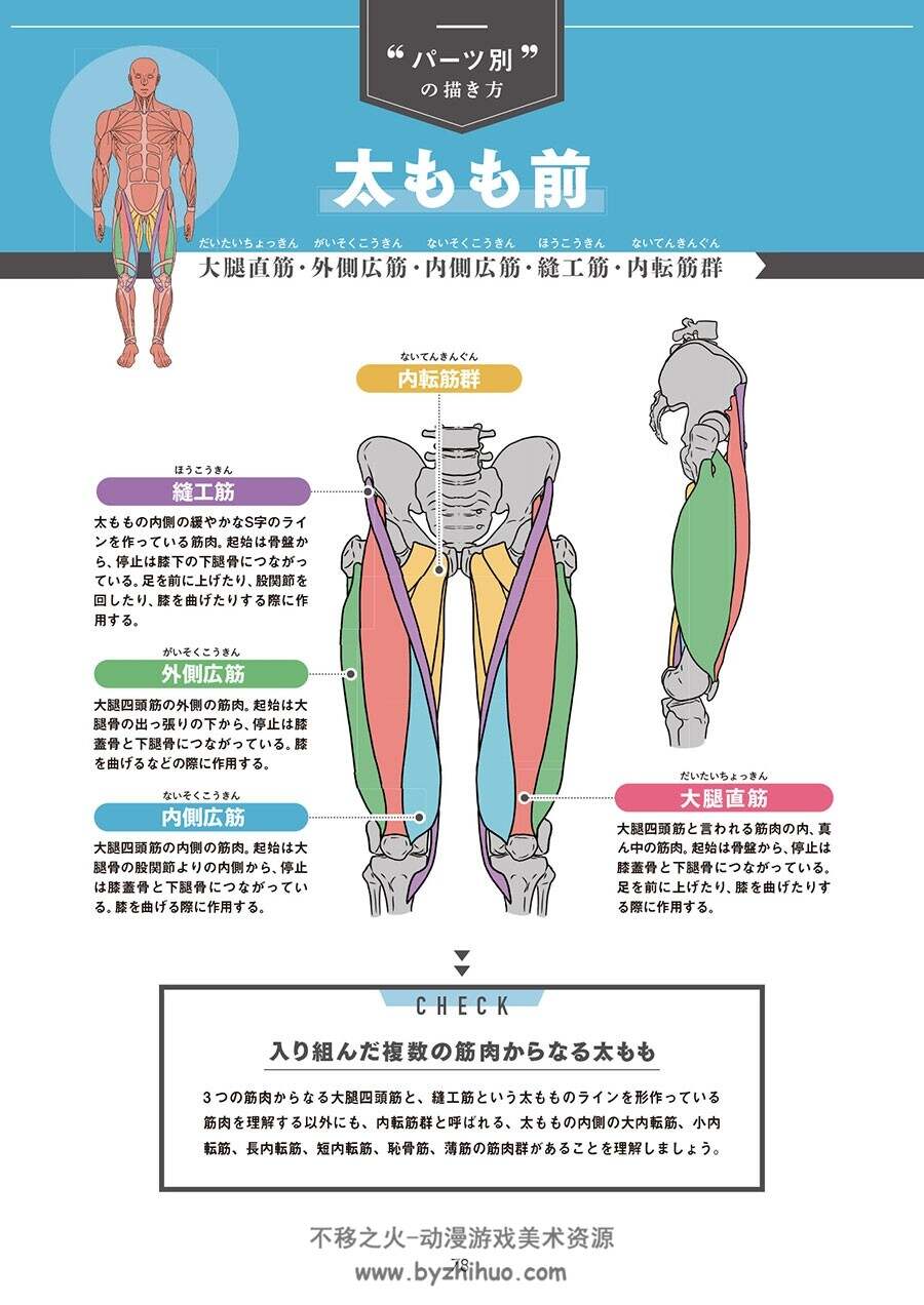 筋肉を描く! 部位別でわかる構造から描き分けま 肌肉的画法 百度网盘下载