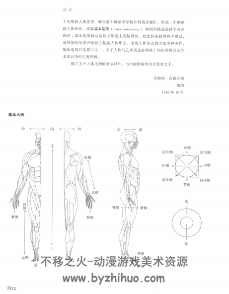 解剖学 艺用人体美术素材 PDF格式 百度网盘下载