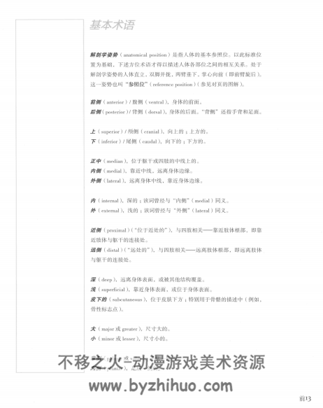 解剖学 艺用人体美术素材 PDF格式 百度网盘下载